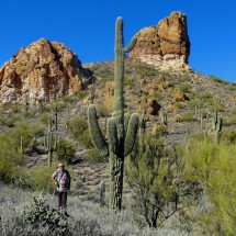 Alfred with a huge Saguaro cactus, the national symbol of Arizona